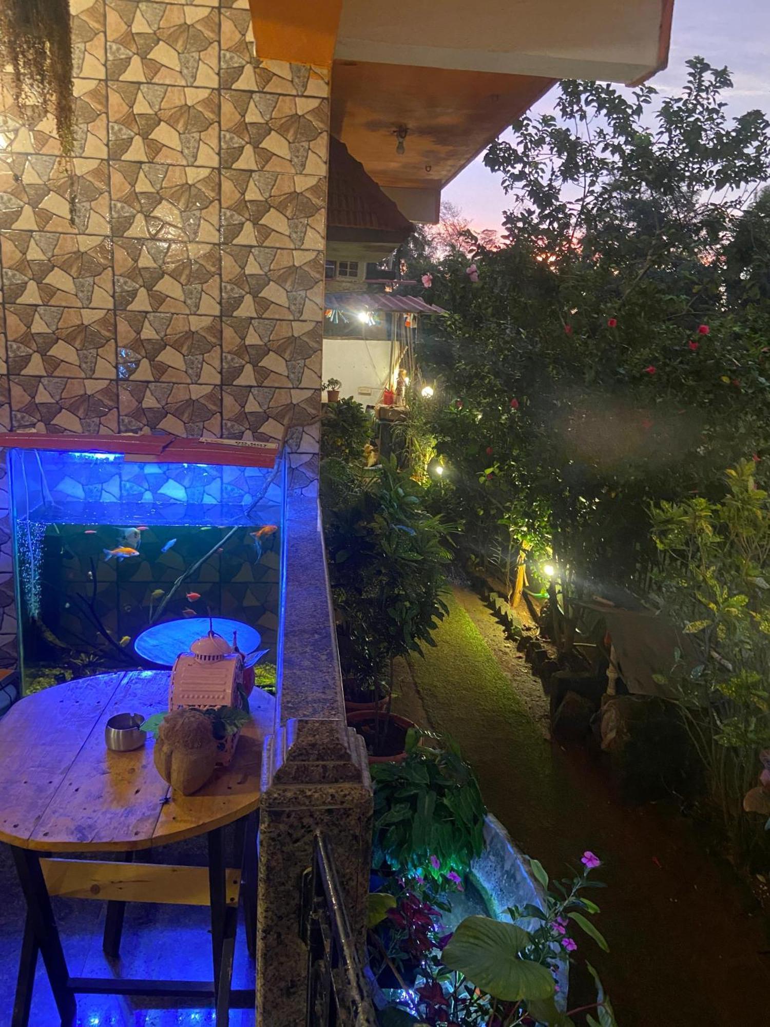 Last Minute Trip Hostel Morjim Extérieur photo